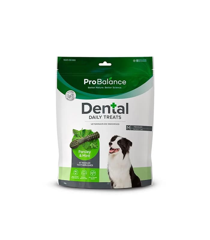 Probalance Toothbrush Parsley & Mint