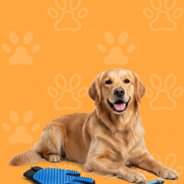 Grooming & Dental Care