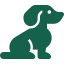 Dogs