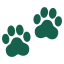More Pets