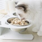 Anti-falling Cat Dog Feeding Water Bowl - Image 2