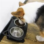 Anti-falling Cat Dog Feeding Water Bowl - Image 7