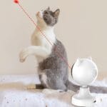 Smart Laser Cat Teaser Toy USB Charging - Image 8