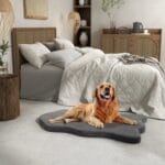 Orthopedic Dog Bed With Memory Foam Support For Large Dogs