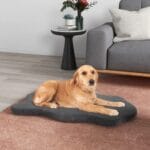 Orthopedic Dog Bed With Memory Foam Support For Large Dogs - Image 6