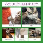 Cat Calming Pheromone Diffuser Kit 45ml, Stress Relief For Anxious Cats & Kittens - Image 8