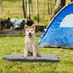 Orthopedic Dog Bed With Memory Foam Support For Large Dogs - Image 7