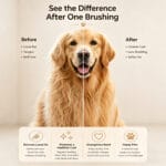 Pet Slicker Brush For Cats & Dogs, Self-Cleaning Grooming Brush With One-Click Hair Removal, Gentle Deshedding Tool For Long & Short Hair, Skin-Friendly Pet Grooming Comb - Image 5